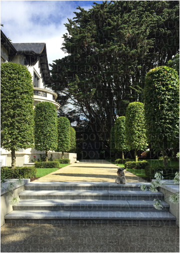Regent's Garden